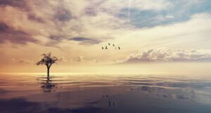 Read more about the article ➝ Hipnoza duchowa/ transpersonalna, hipnoza regresyjna